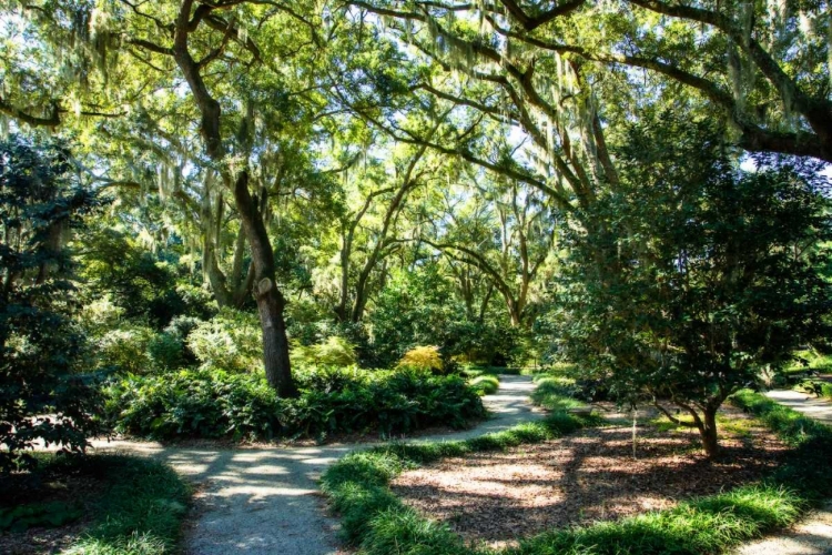 Picture of GARDEN BY THE SEA II