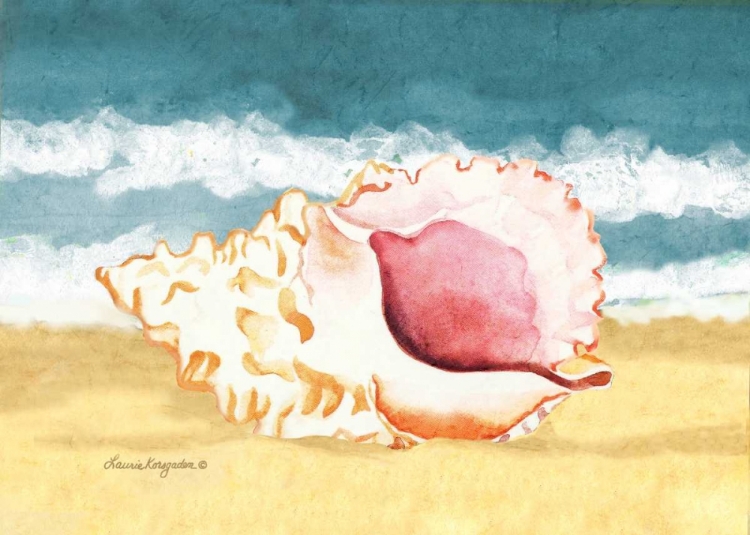 Picture of SEASHELL II