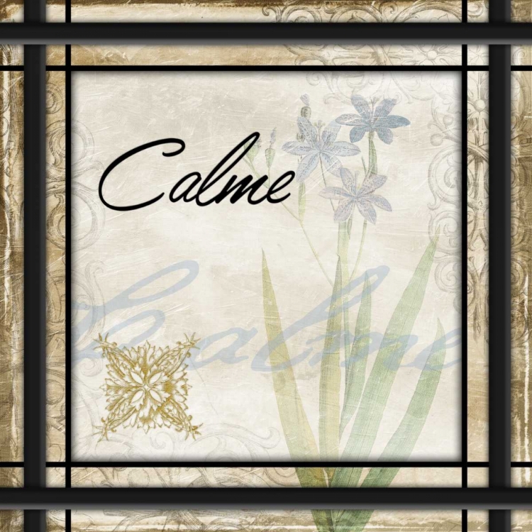 Picture of CALME