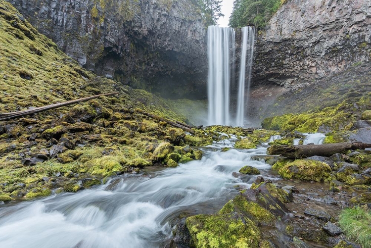 Picture of TAMANAWAS FALLS I