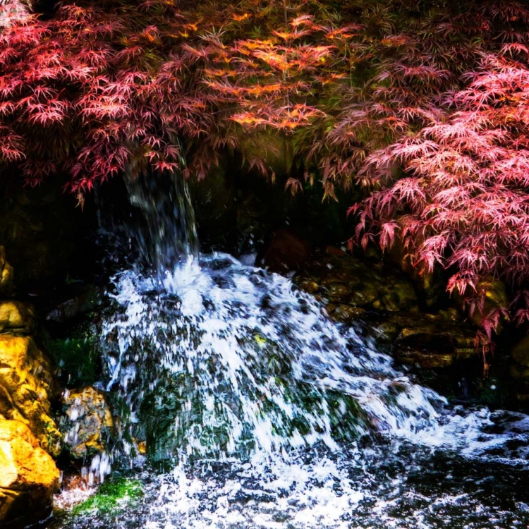 Picture of GENTLE WATERFALL I