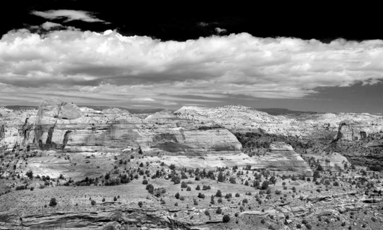 Picture of SLICK ROCK COUNTY BW