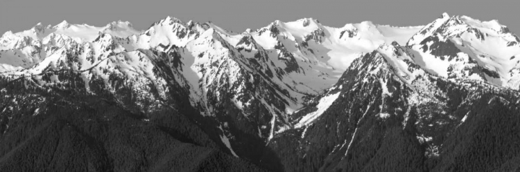 Picture of HURRICANE RIDGE MORNING