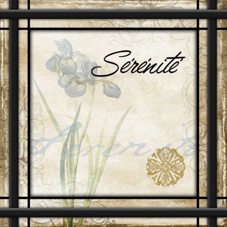 Picture of SERENITE