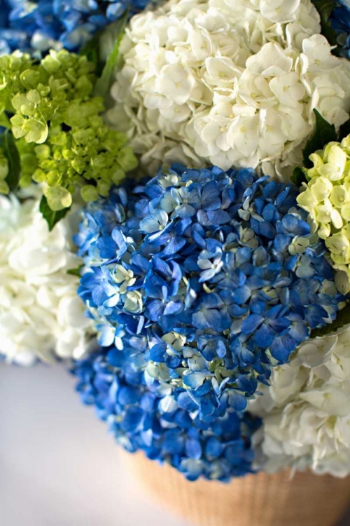 Picture of HYDRANGEA BOUQUET