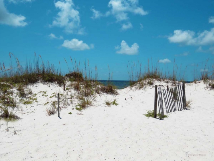 Picture of SAND DUNES I