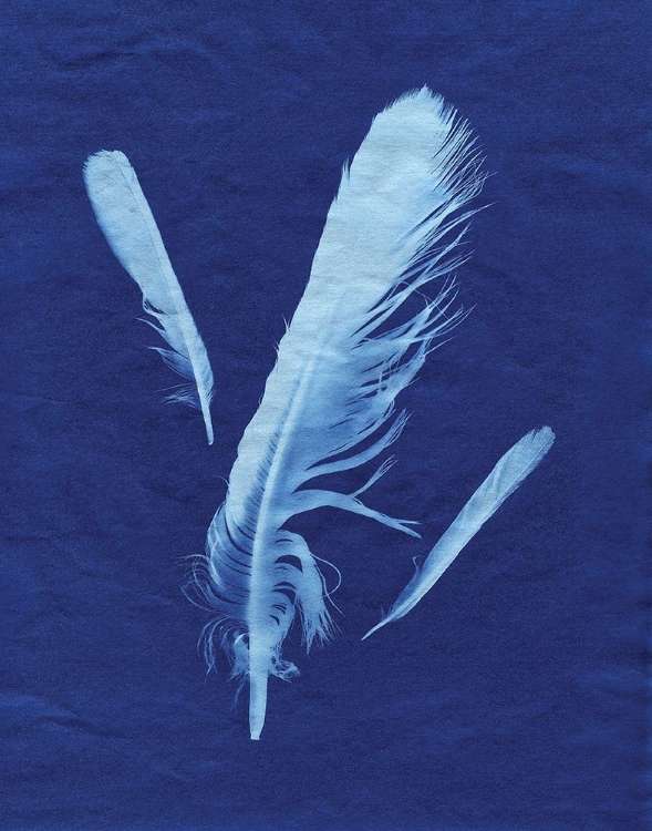 Picture of INDIGO FEATHER II