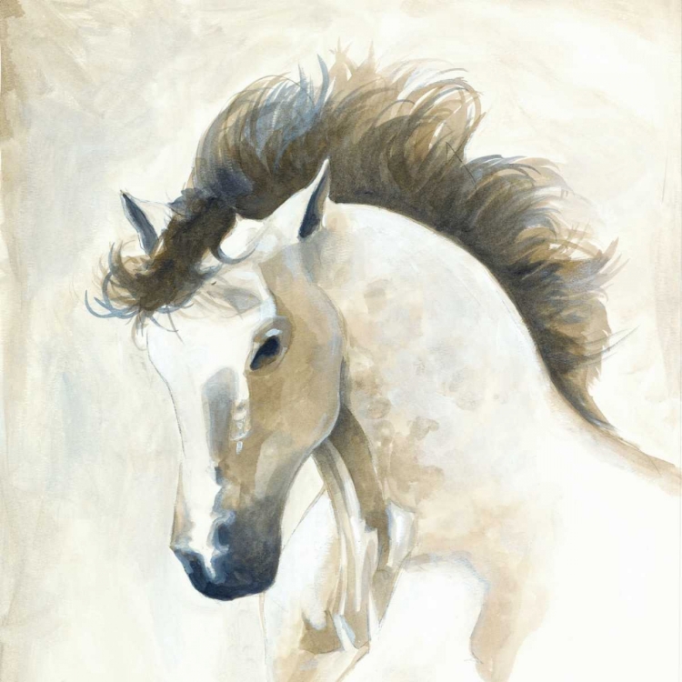 Picture of HORSE II