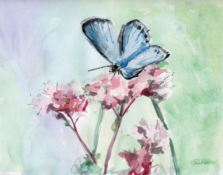 Picture of WATERCOLOR BUTTERFLY I