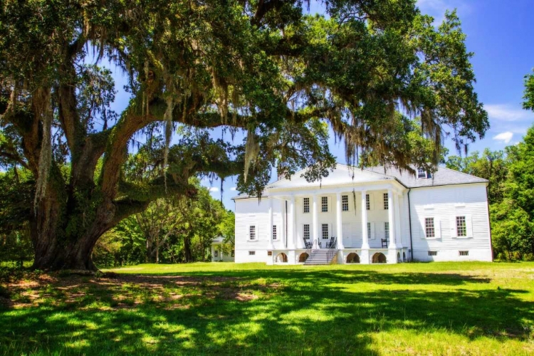 Picture of HAMPTON PLANTATION