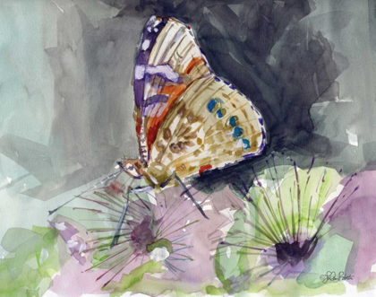 Picture of WATERCOLOR BUTTERFLY III