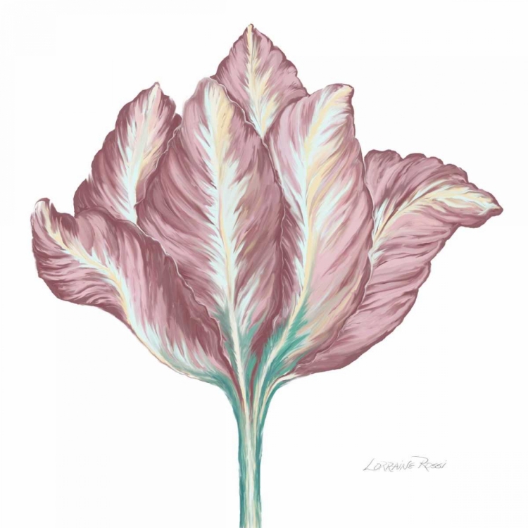 Picture of ROMANTIC TULIP 2