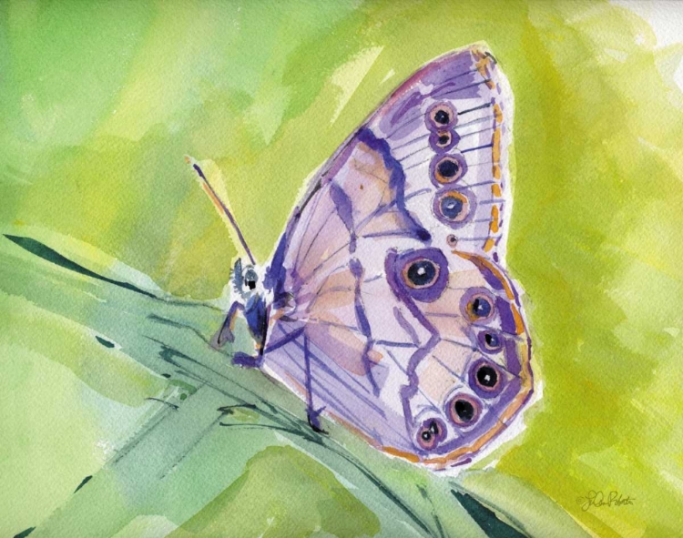 Picture of WATERCOLOR BUTTERFLY IV