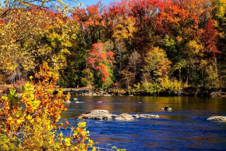 Picture of AUTUMN BY THE RIVER I