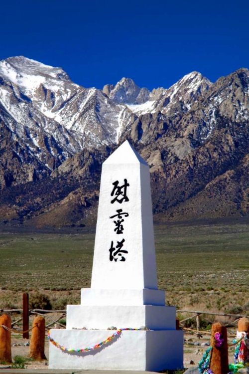 Picture of MANZANAR REMEMBRANCE I