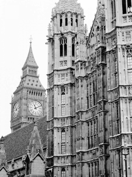 Picture of LONDON NATURAL HISTORY MUSEUM