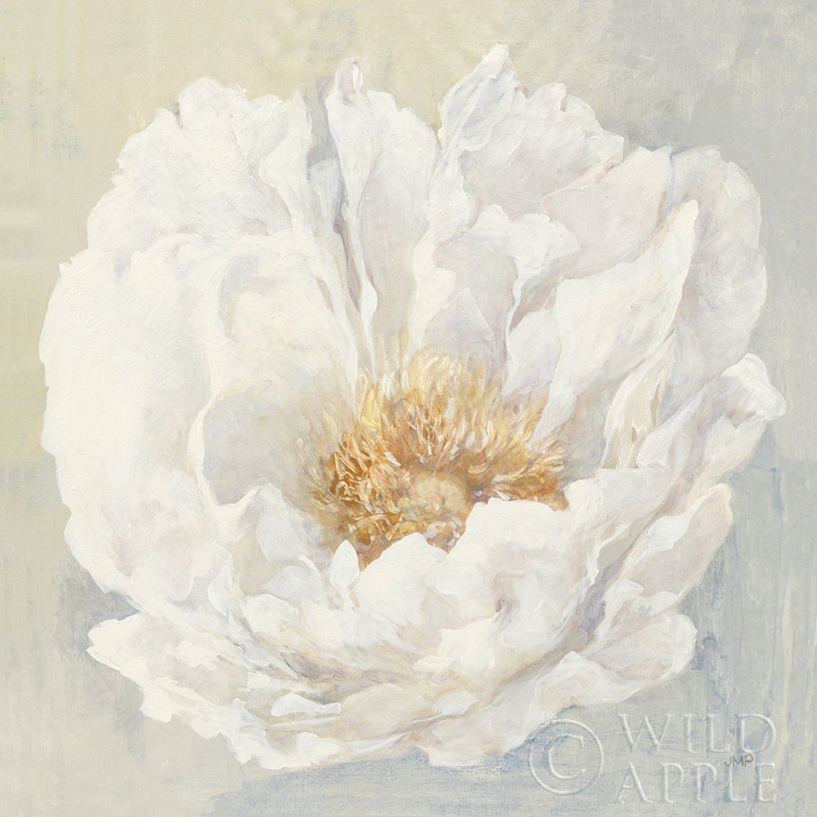 Picture of SERENE PEONY