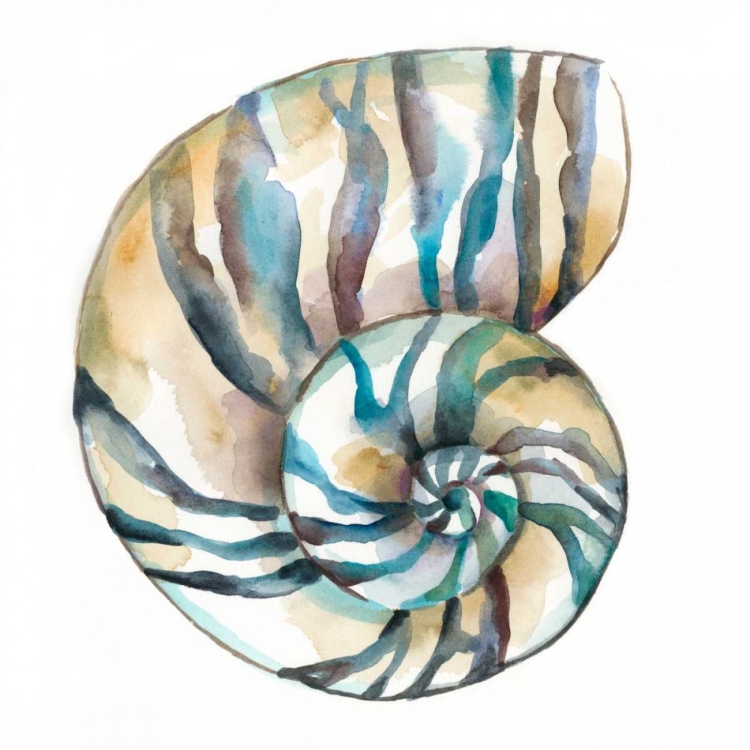 Picture of AQUARELLE SHELLS II