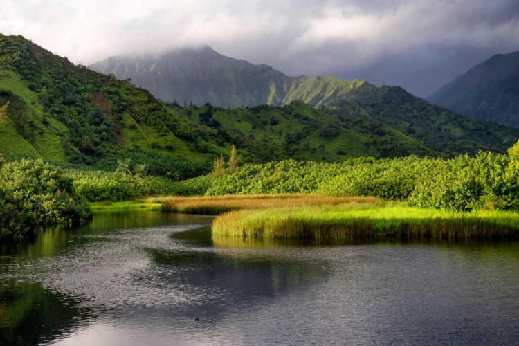 Picture of COASTAL MARSH V