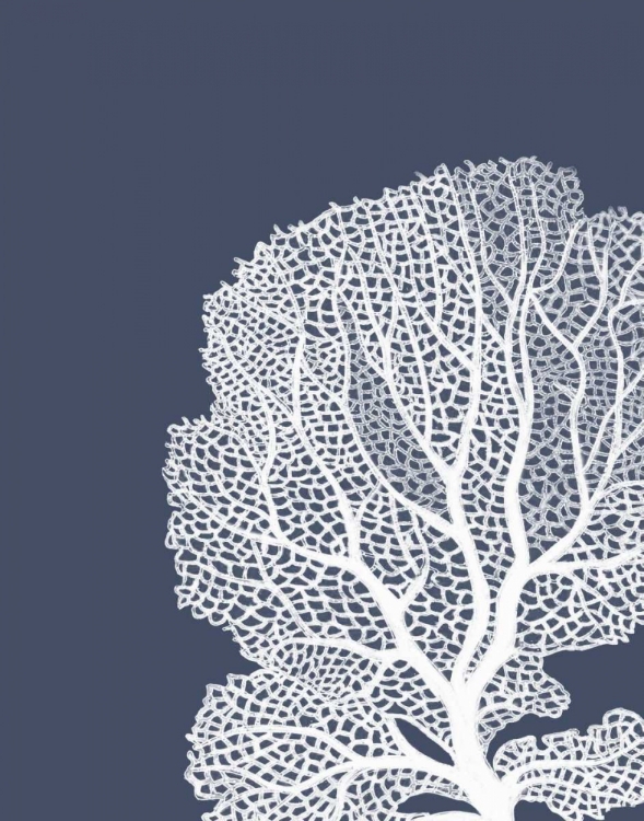 Picture of CORALS WHITE ON INDIGO BLUE B