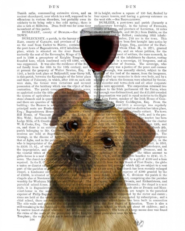 Picture of DOG AU VIN, BORDER TERRIER