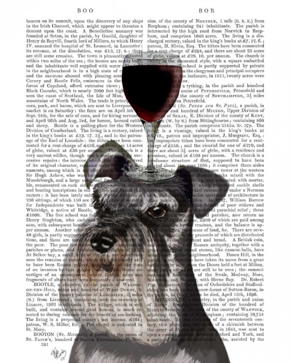 Picture of DOG AU VIN, SCHNAUZER