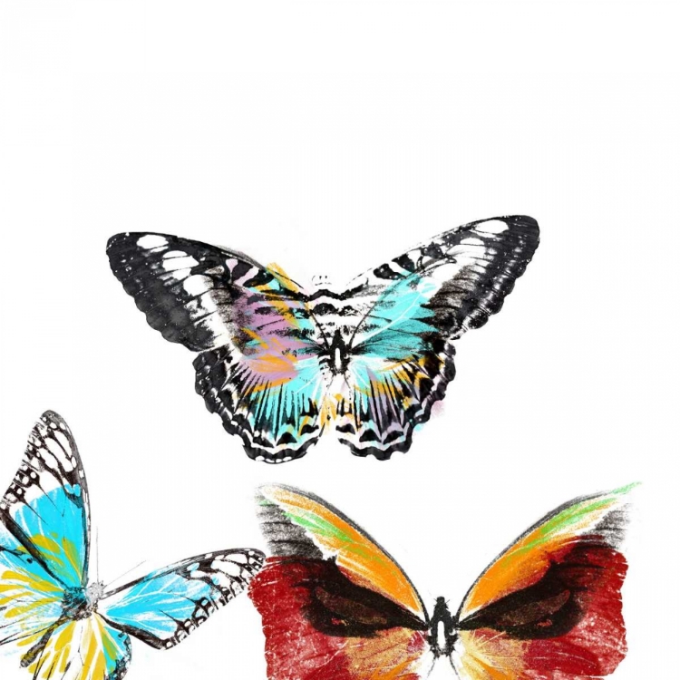 Picture of BUTTERFLIES DANCE II