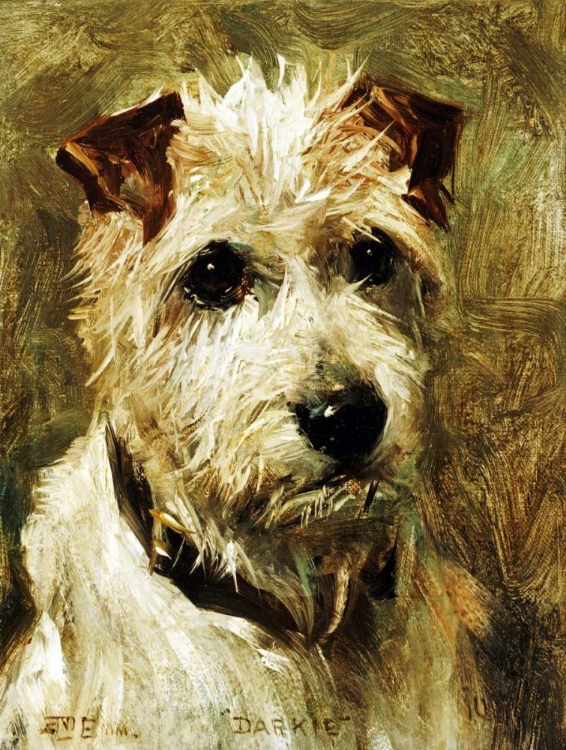 Picture of PORTRAIT OF A TERRIER: DARKIE