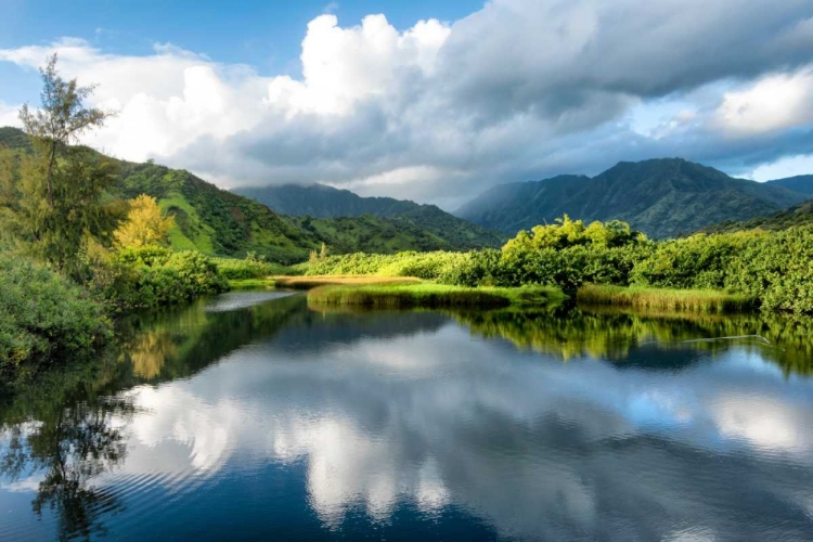 Picture of CLOUD REFLECTIONS I