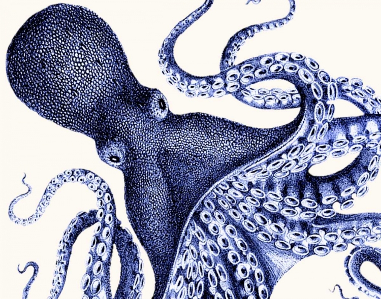 Picture of LANDSCAPE BLUE OCTOPUS