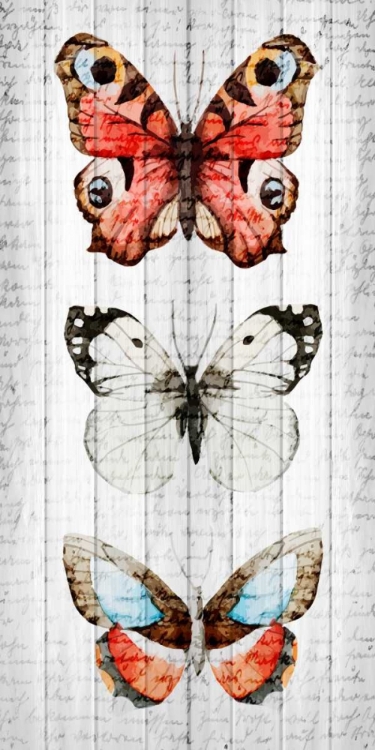 Picture of VINTAGE BUTTERFLY 2