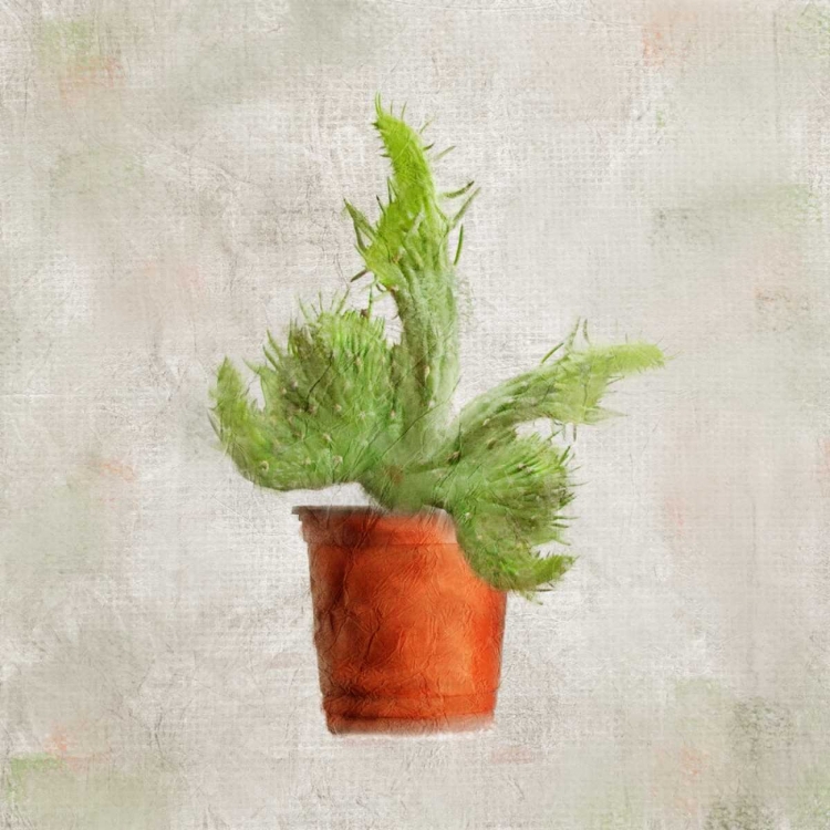 Picture of POTTED LIFE 2