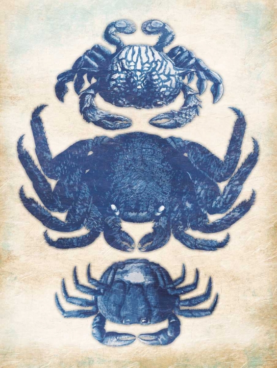 Picture of 3 CRABS