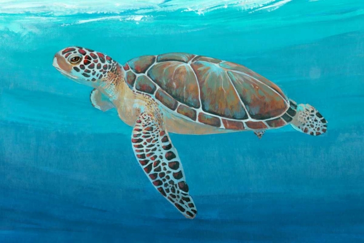 Picture of OCEAN SEA TURTLE II