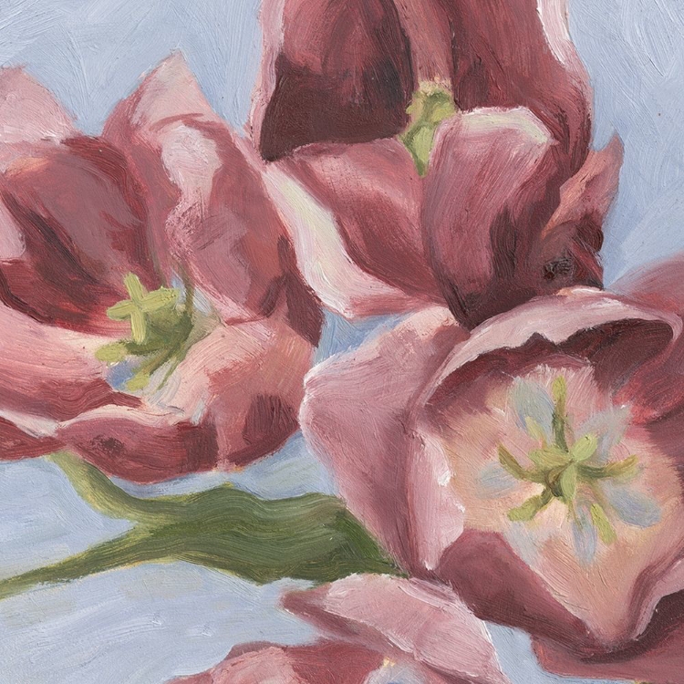 Picture of MAUVE TULIPS II