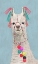 Picture of ADORNED LLAMA II