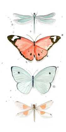 Picture of SUMMER BUTTERFLIES I