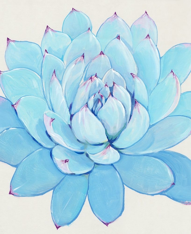 Picture of PASTEL SUCCULENT II