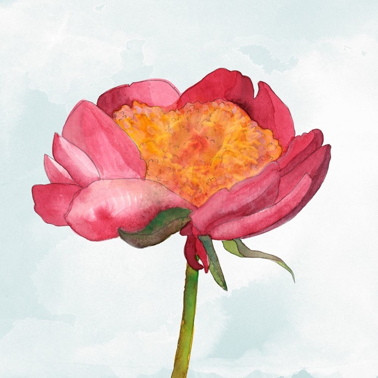 Picture of JOYFUL PEONY II