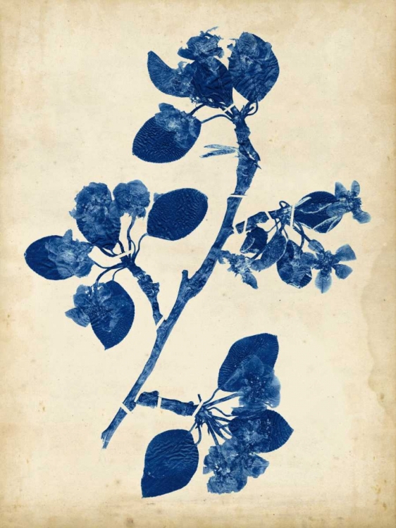 Picture of INDIGO LEAF STUDY IV