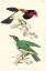 Picture of LEMAIRE BIRDS III