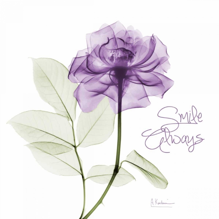 Picture of SMILE ALWAYS PURPLE