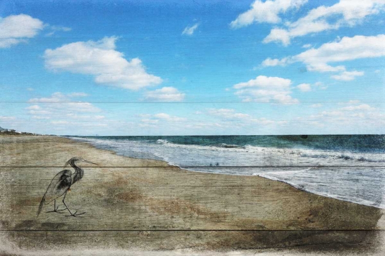 Picture of TRANQUIL WALK BY THE OCEAN