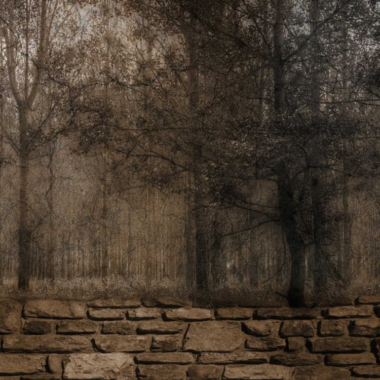 Picture of STONE WALL LANDSCAPE 2
