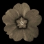 Picture of SEPIA FLORAL I