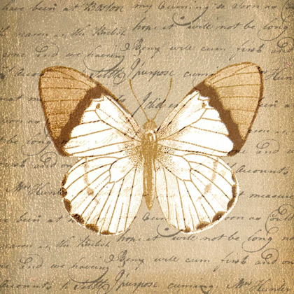 Picture of BUTTERFLY ON GOLD