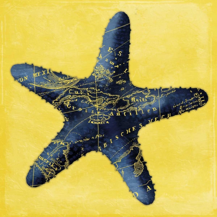 Picture of MAP STARFISH Y INDIGO