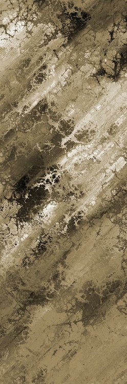 Picture of EARTHY ABSTRACT 2