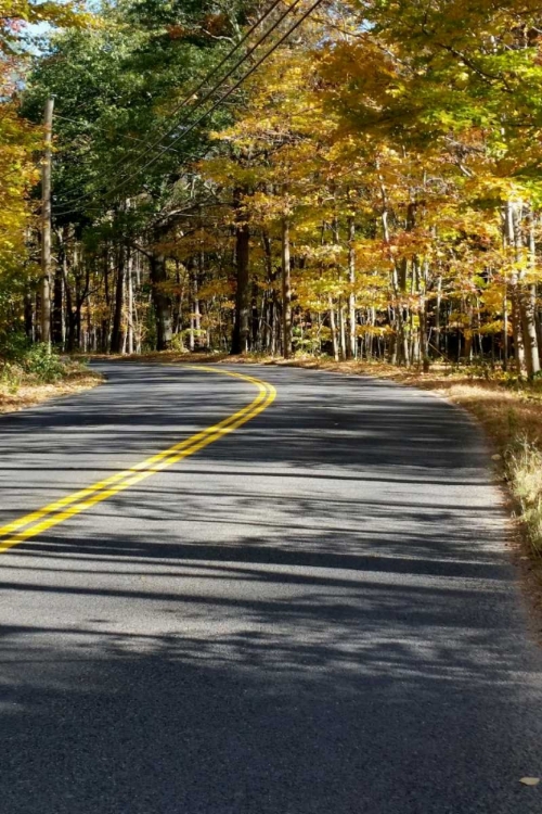 Picture of AROUND THE BEND