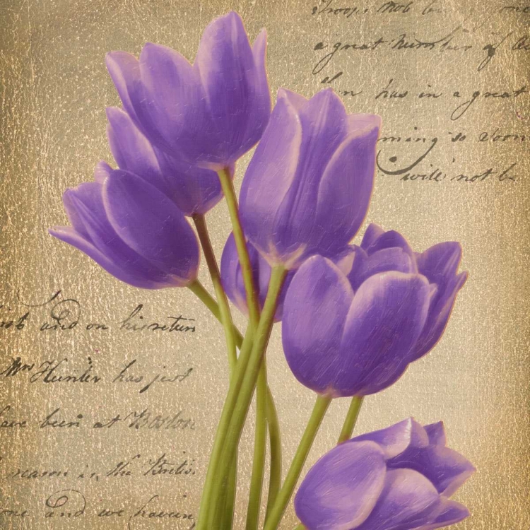 Picture of PURPLE TULIP I ON GOLD